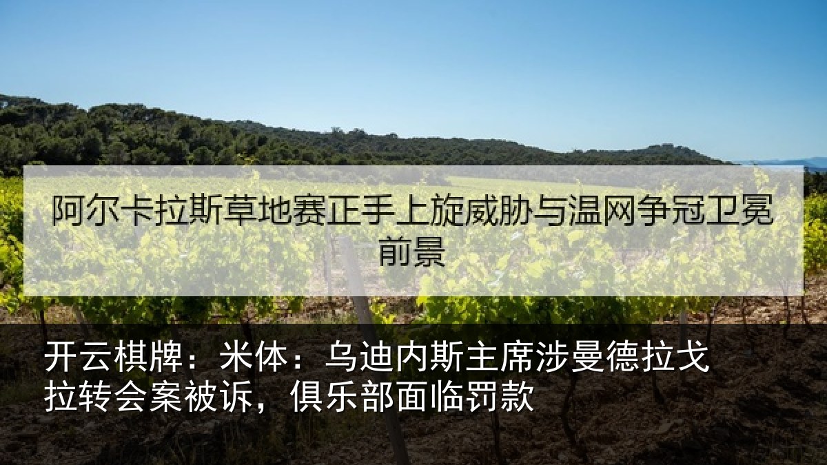开云棋牌：米体：乌迪内斯主席涉曼德拉戈拉转会案被诉，俱乐部面临罚款