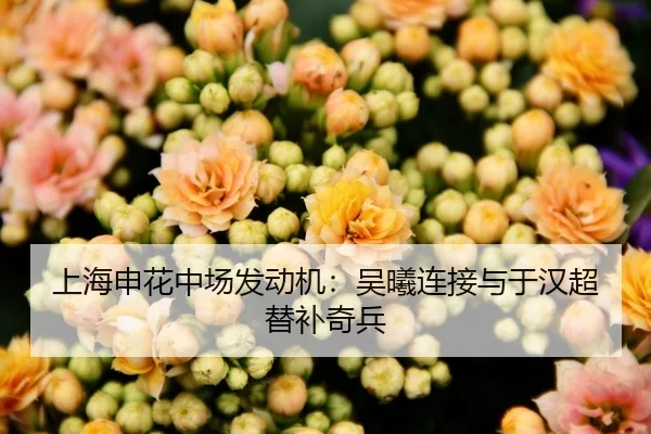 上海申花中场发动机：吴曦连接与于汉超替补奇兵