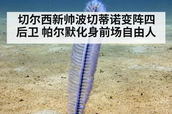 切尔西新帅波切蒂诺变阵四后卫 帕尔默化身前场自由人